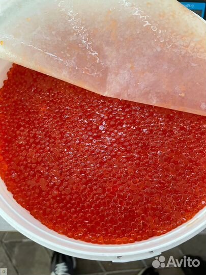 Красная икра форели, лосося, кеты, горбуши