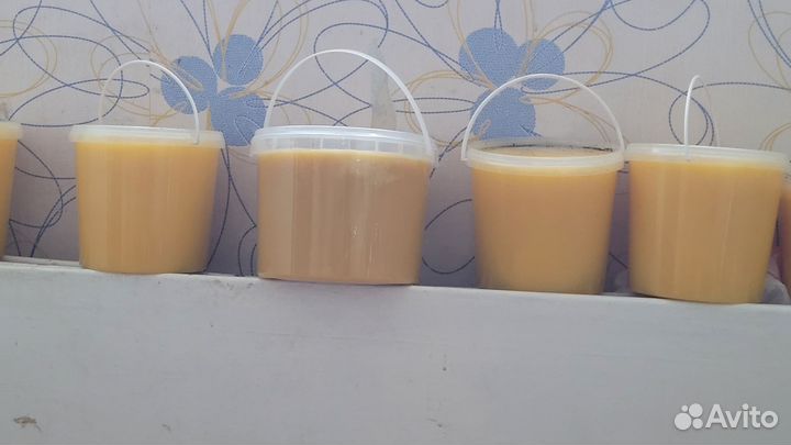 Продаю мед