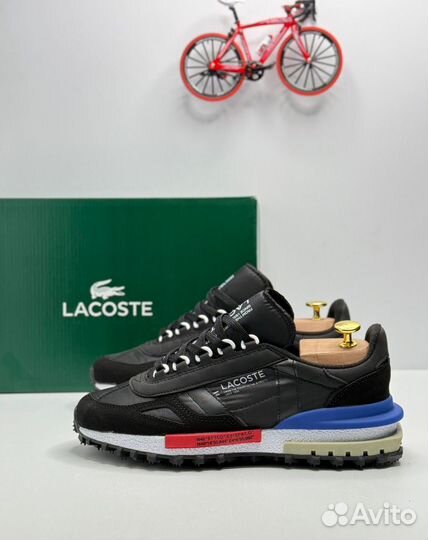 Кроссовки мужские lacoste