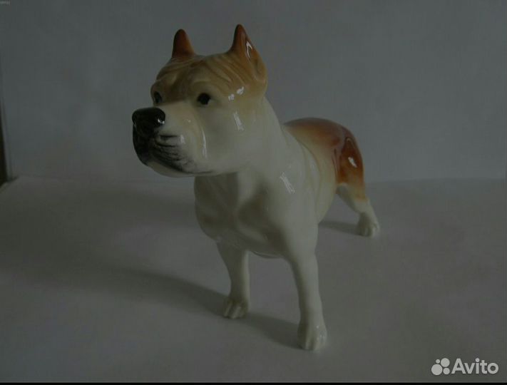 Стаффордширский бультерьер