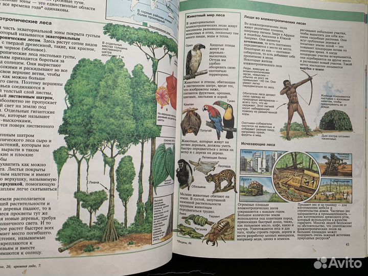 Книга энциклопедия по географии