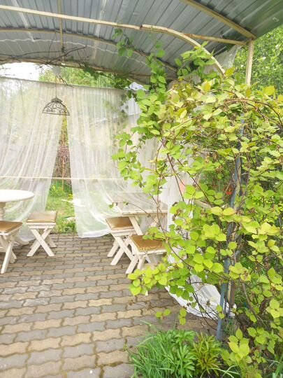 Дача 51,2 м² на участке 6 сот.