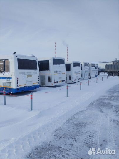 Автобус без документов