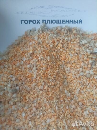Пшеница,овес,ячмень,кукуруза, Богданович