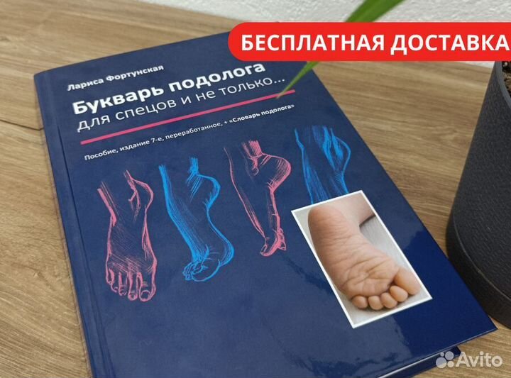 Букварь подолога для спецов и не только + словарь