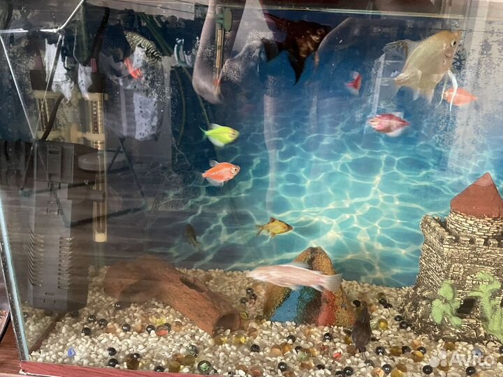 Аквариум