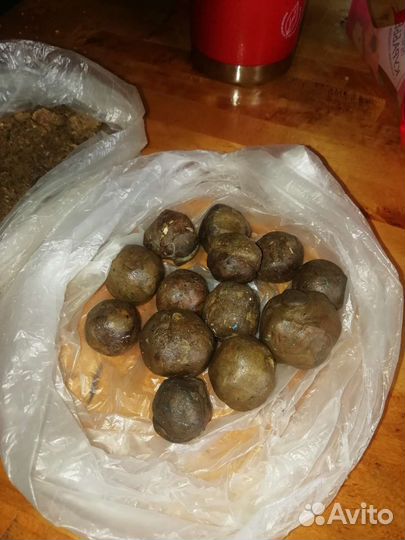Прополис пчелиный