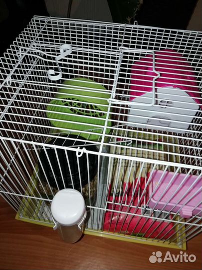 Клетка для хомяка большая