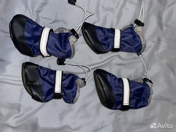 Шлейка, Ошейник, Намордник, Ботинки