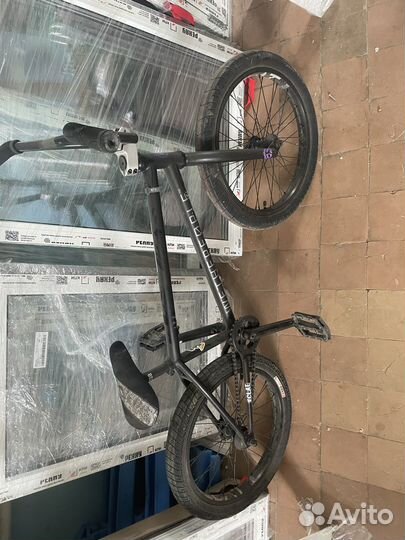 Bmx animal eclat wtp salt plus дёрбан