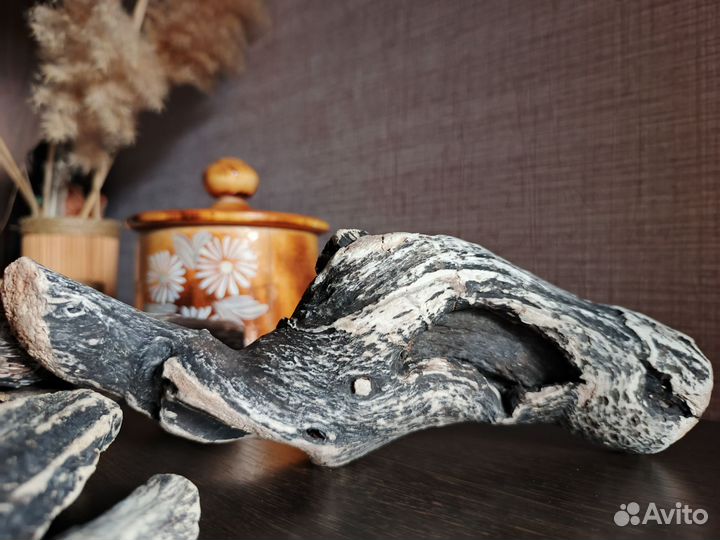 Коряги морские дрифтвуд набором для творчества