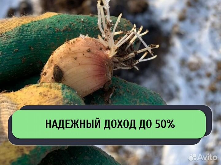 Ищу инвестора в с/х. Доход до 50%