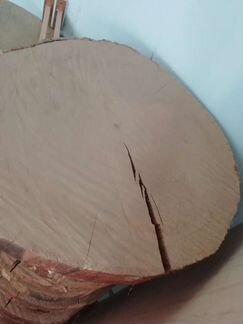 Спилы торцевые дуб