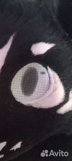 Фурсьют зайца