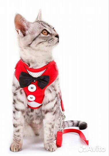 Шлейка для небольшой собаки, кошки