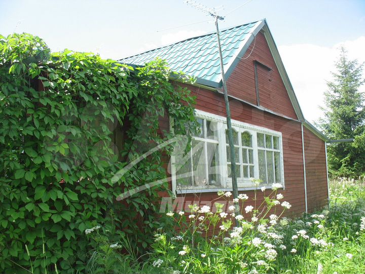 Дом 50,2 м² на участке 12 сот.