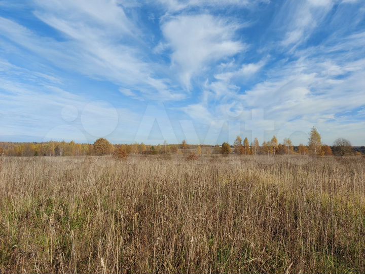 Участок 1,24 га (СНТ, ДНП)