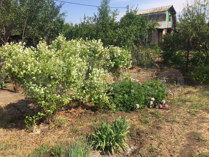 Дача 36 м² на участке 5 сот.