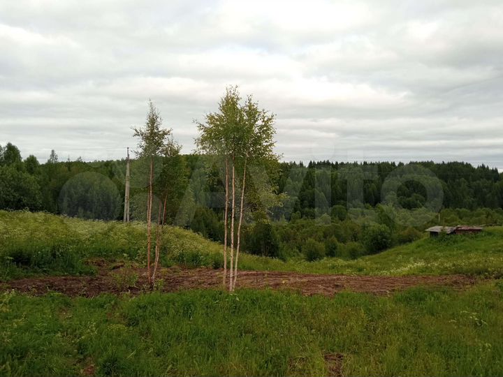 Участок 5 сот. (ИЖС)
