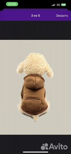 Толстовка, худи для собак XS