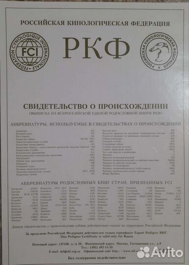 Йоркширский терьер