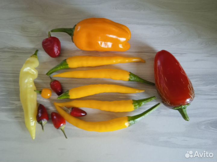 Острый перец