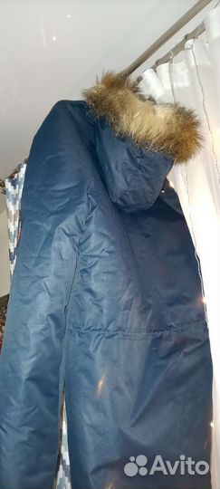 Аляска Anteater