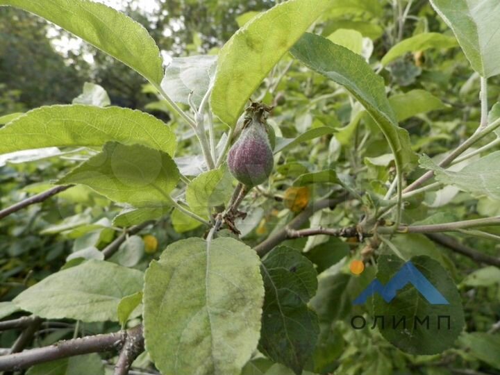 Дом 27,3 м² на участке 22 сот.