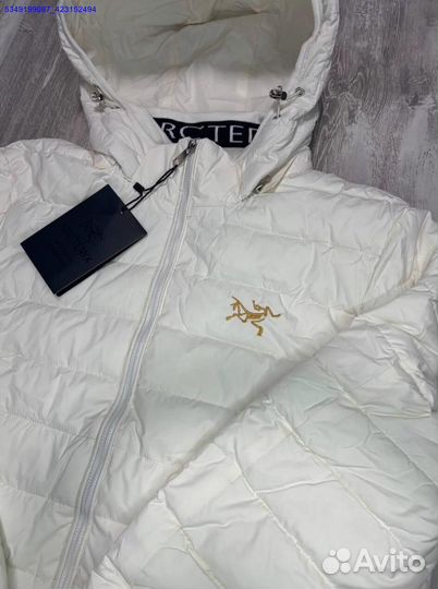 Ветровка Arcteryx