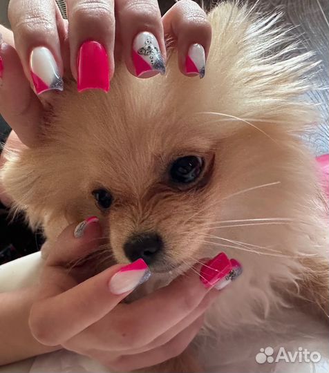 Мастер маникюра и наращивание ногтей на дому