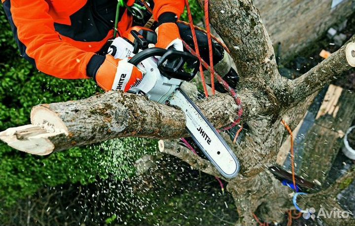 Спил деревьев