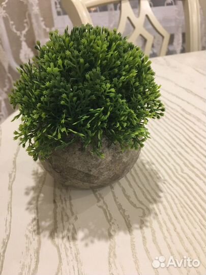 Предметы интерьера, Дизайнерские цветы в горшочке