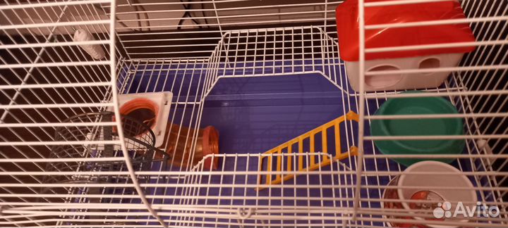 Клетка для грызунов