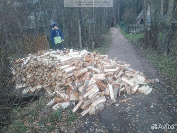 Дрова осиновые хвойные навалом