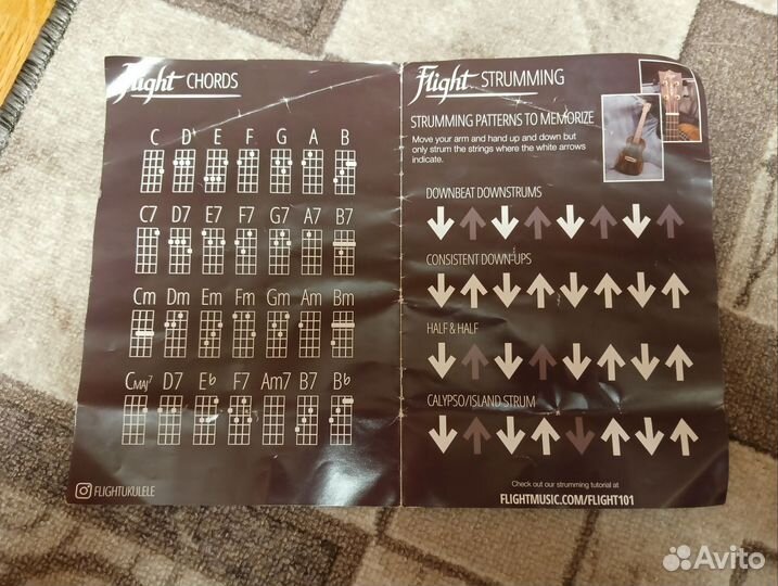 Укулеле flight