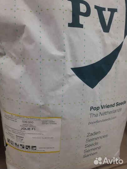 Семена Свеклы Джоли