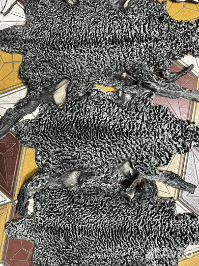 Каракуль Антика шкуры шапки