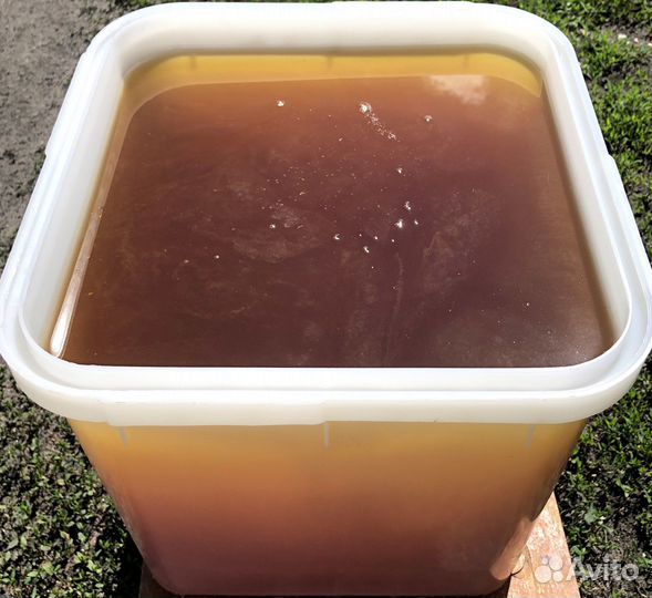 Мед гречишный от пчеловода