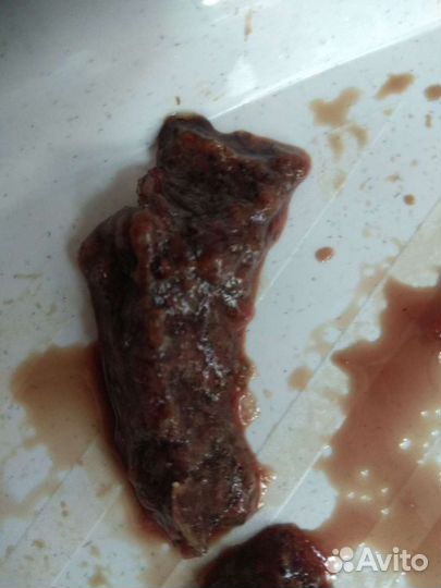 Артемия свежая взрослая(корм 500г)