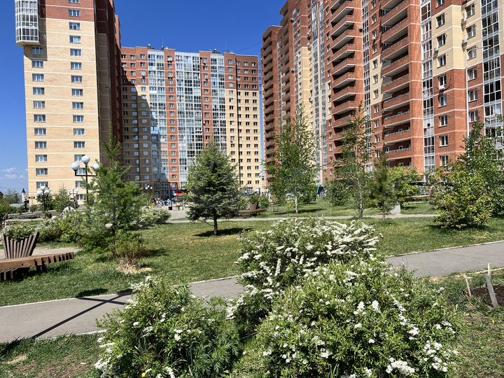 1-к. квартира, 38,8 м², 11/19 эт.