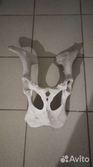 Маска из кости
