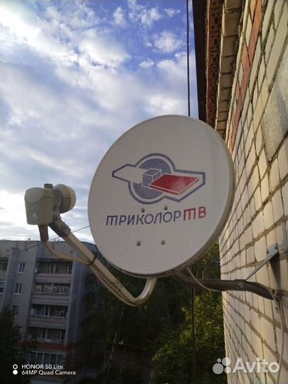Тарелка триколор