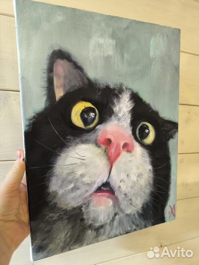 Картина маслом на холсте Котэ 30х40