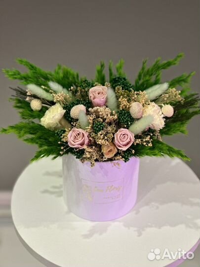 Цветы сухоцветы стабилизированные цветы