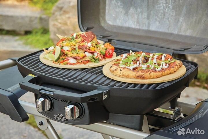 Портативный газовый гриль Napoleon TravelQ 285X