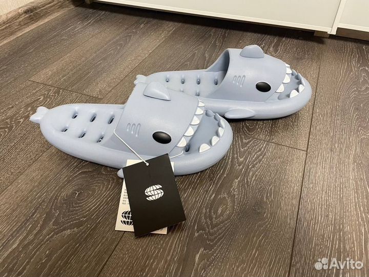 Сланцы акулы chikoku