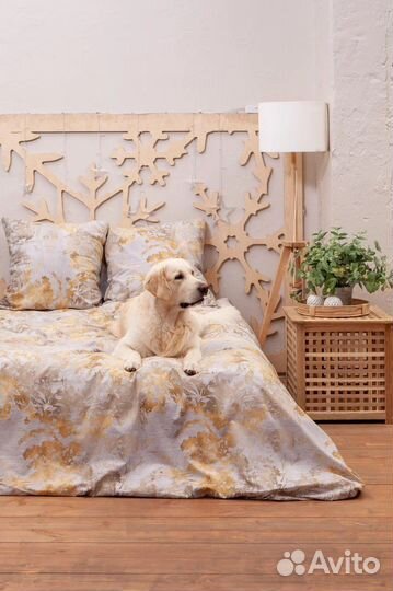 Собака на фотосессию