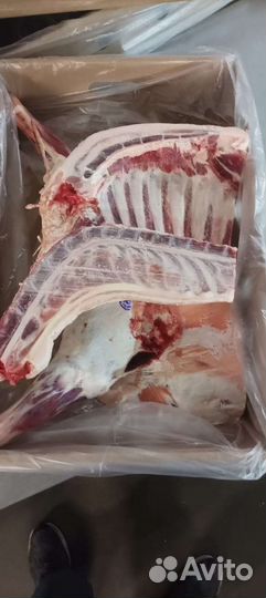 Мясо баранина в 6 кусках, баранина