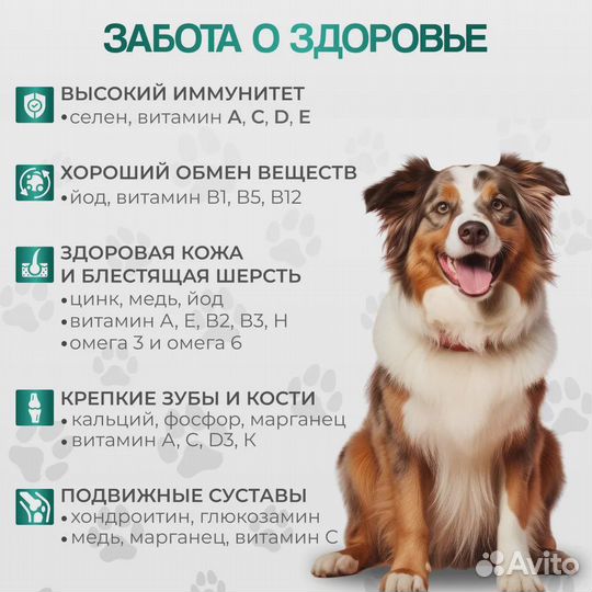 Корм для собак. Премиум - говядина 15 кг