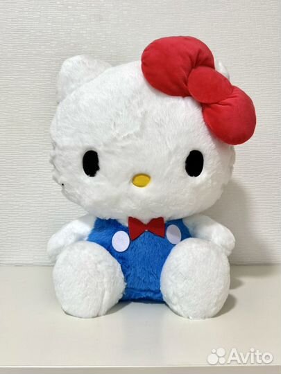 Sanrio/ Hello Kitty/My Melody